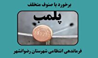 مهر و موم شدن ۱۲ واحد صنفی متخلف در رضوانشهر