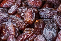 آغاز توزیع خرمای تنظیم بازار رمضان در خراسان جنوبی
