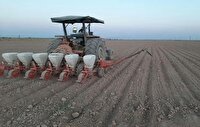 اصلاح الگوی کشت، راهکاری برای توسعه و پایداری تولید در آذربایجان‌غربی
