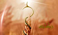 جهش ۱۸۵ درصدی پرداخت زکات در مهاباد