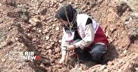 کاشت ۵۰۰ اصله نهال به یاد امام شهید در لرستان