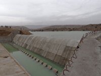 باران، سد تنگ ارم دشتستان را سرریز کرد