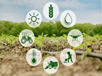 پرداخت ۶۳۰ میلیارد تومان تسهیلات برای اشتغالزایی در بخش کشاورزی