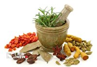توسعه کشت گیاهان دارویی در ۳۲۰۰ هکتار از اراضی کردستان