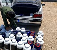 کشف ۵۰ میلیارد ریال کالای قاچاق در اندیمشک