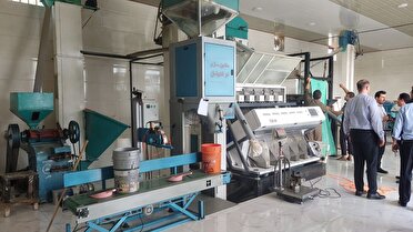 افتتاح طرح‌های اشتغالزایی در رضوانشهر در نخستین روز از هفته دولت